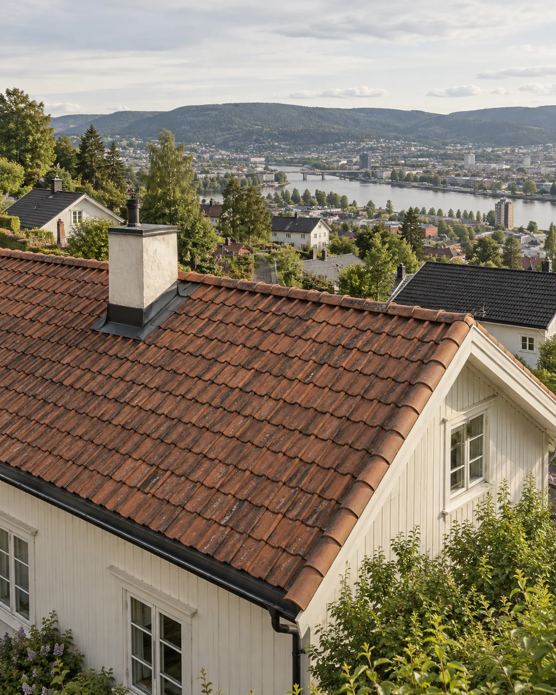 Illustrasjon av tegltak på trehus i en grønn dalside, inspirert av boligområder i Drammen